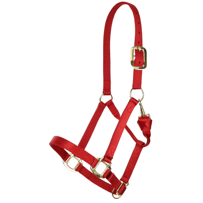 Showman Deluxe Nylon Halter with Throat Clip #5