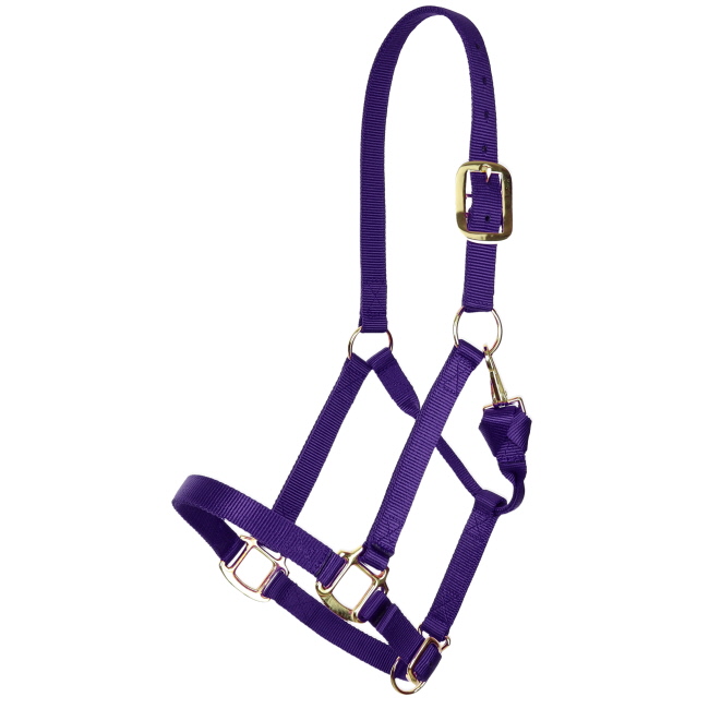 Showman Deluxe Nylon Halter with Throat Clip #6