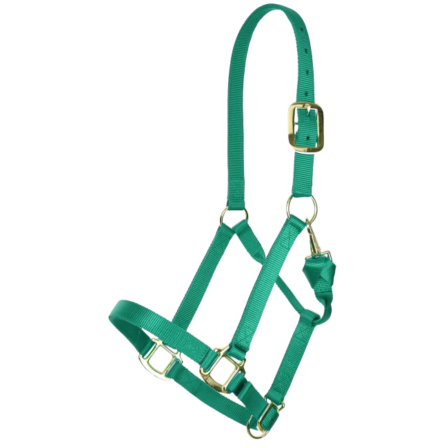 Showman Deluxe Nylon Halter with Throat Clip #7