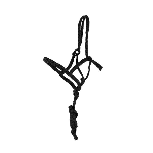 Showman Assorted Shipping Halter with 6 Ft Lead - Pack of 6 #2