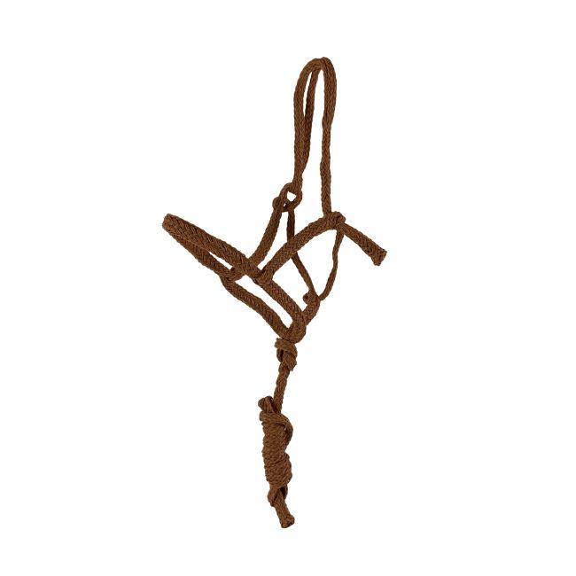 Showman Assorted Shipping Halter with 6 Ft Lead - Pack of 6 #3