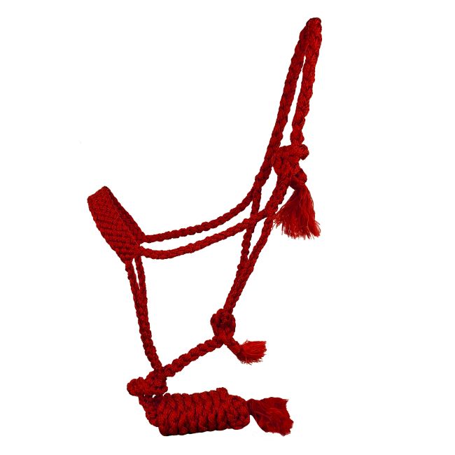 Showman Woven Nylon Muletape Halter with 8ft Removable Lead #7