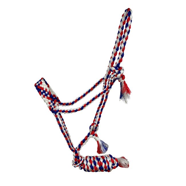 Showman Woven Nylon Muletape Halter with 8ft Removable Lead #6
