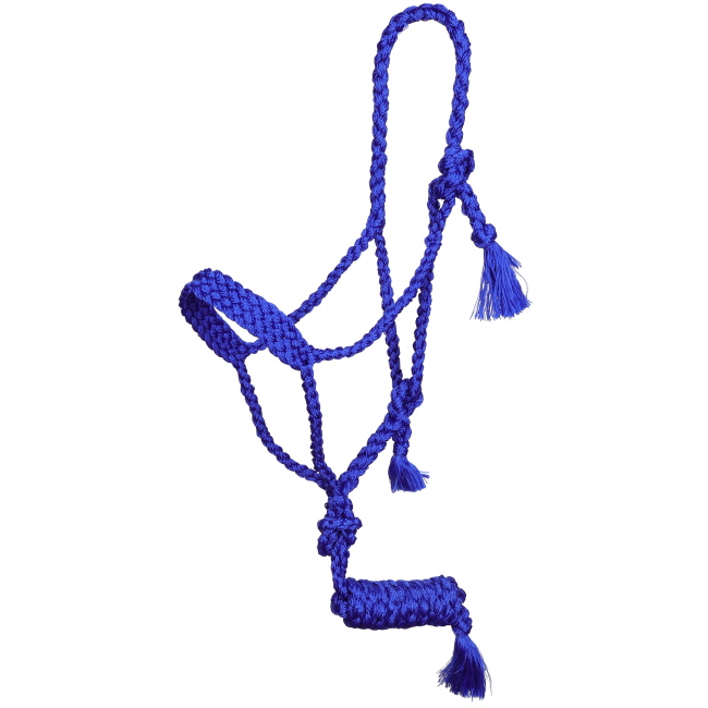 Showman Assorted Mule Tape Halter with Lead #2
