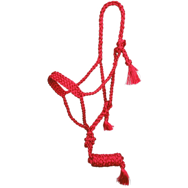 Showman Assorted Mule Tape Halter with Lead #3