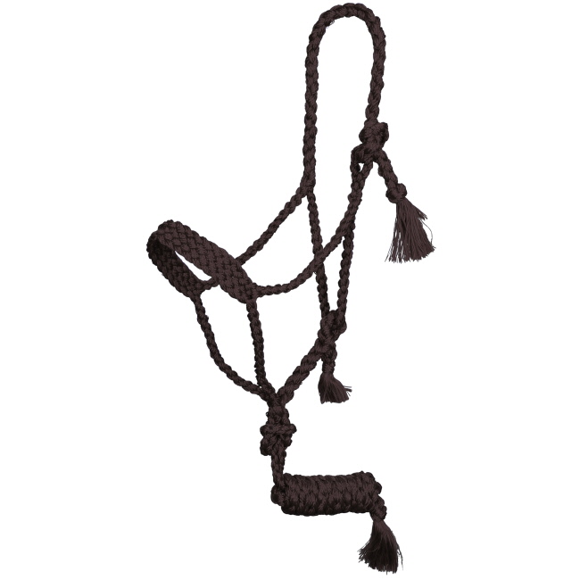Showman Assorted Mule Tape Halter with Lead #4