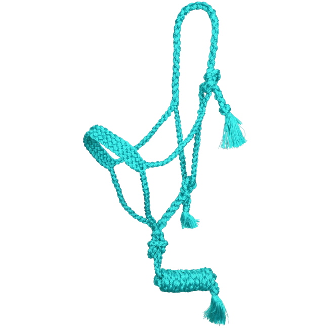 Showman Assorted Mule Tape Halter with Lead #5