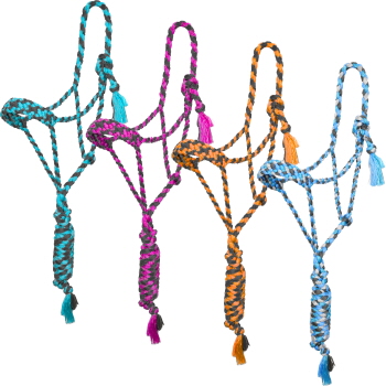 Showman Assorted Mule Tape Halter with 8' Lead