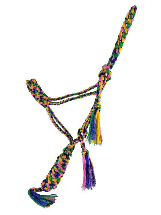 Showman Woven Rainbow color nylon mule tape halter with removable lead