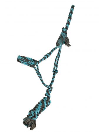 Showman Braided Mule Tape Halter - brown and light blue
