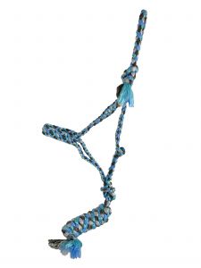 Showman Braided Mule Tape Halter - blue multicolor