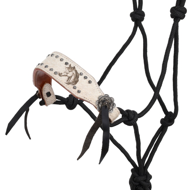 Showman Horse Haven Cowboy Knot Halter with Lead #2