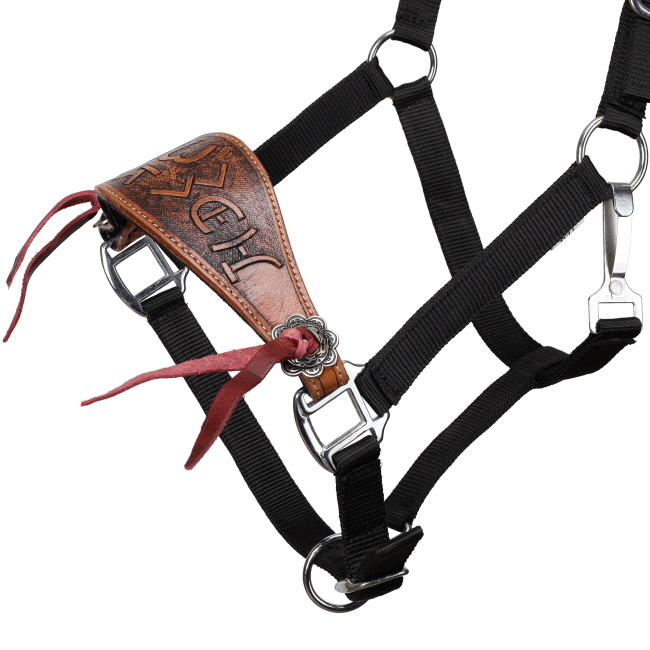 Showman Brandin’ Pen Bronc Halter #2
