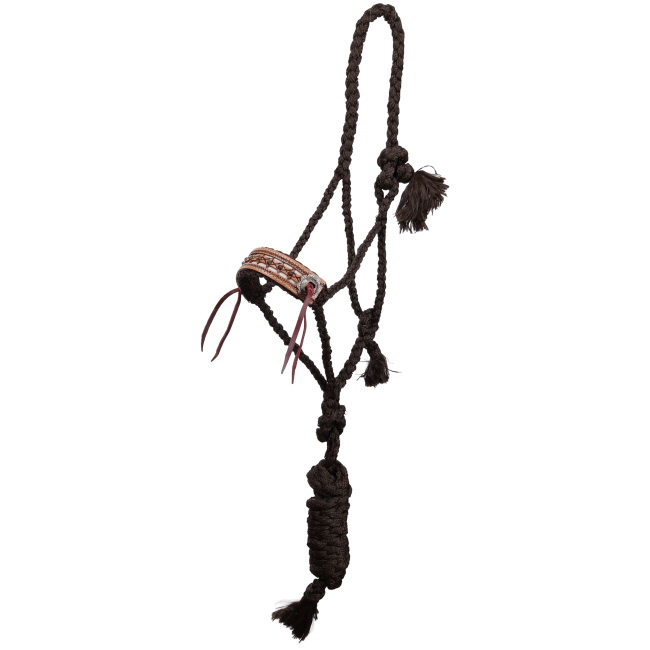 Showman Cow Camp Mule Tape Halter