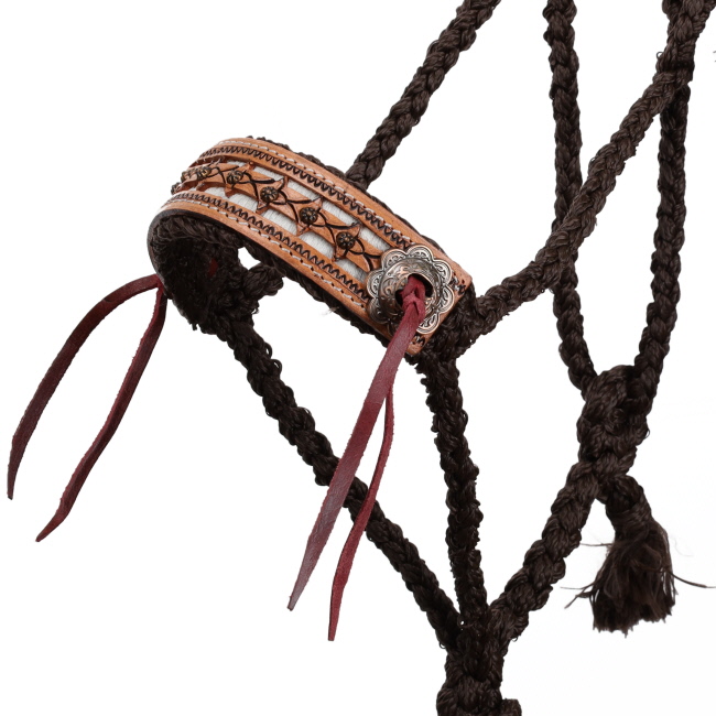 Showman Cow Camp Mule Tape Halter #2