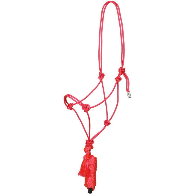 Showman Premium Cowboy Knot Halter with Lead #6