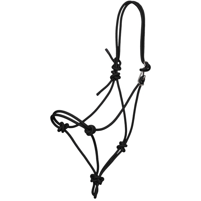 Showman Premium Quick-Tie Cowboy Knot Halter #2