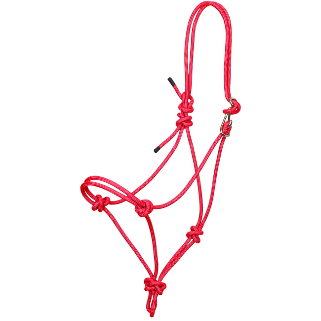 Showman Premium Quick-Tie Cowboy Knot Halter #6