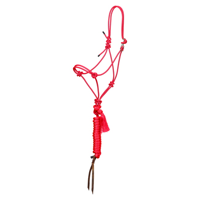 Showman Premium Quick-Tie Cowboy Knot Halter with Lead #6