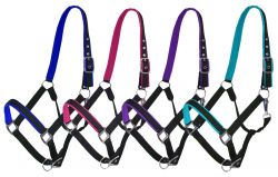 Showman Full Size Neoprene Lined Halter. AVERAGE HORSE 800-1100LBS