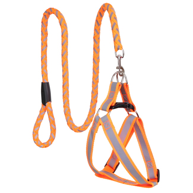 Assorted Dog Harness and Leash Set - Medium #2