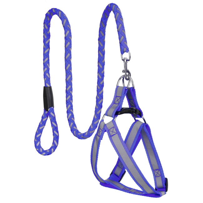 Assorted Dog Harness and Leash Set - Medium #3