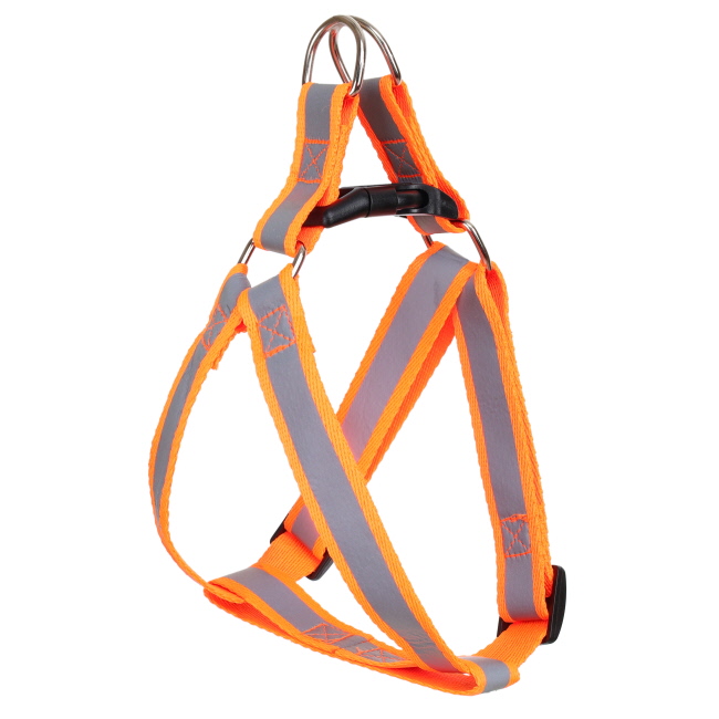 Assorted Dog Harness and Leash Set - Medium #4