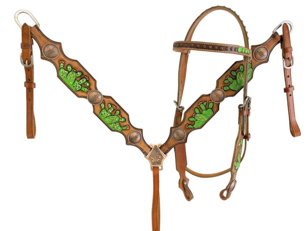 Showman Hand Painted Cactus Brow band Headstall and Breast collar Set