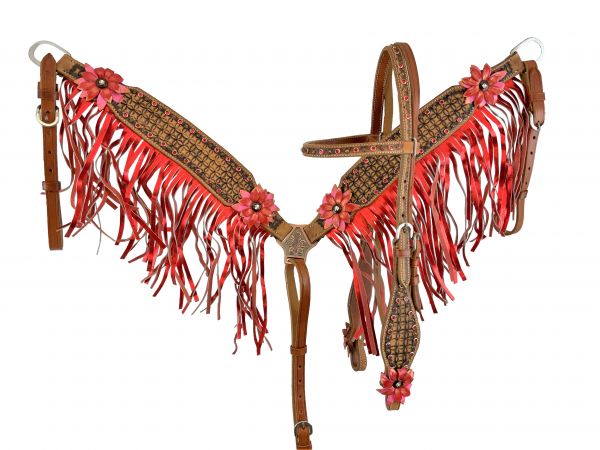 Showman Painted 3D Floral Accent Browband Headstall and Breast collar Set with Fringe