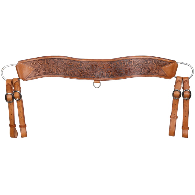 Showman Brandin’ Pen Tripping Collar