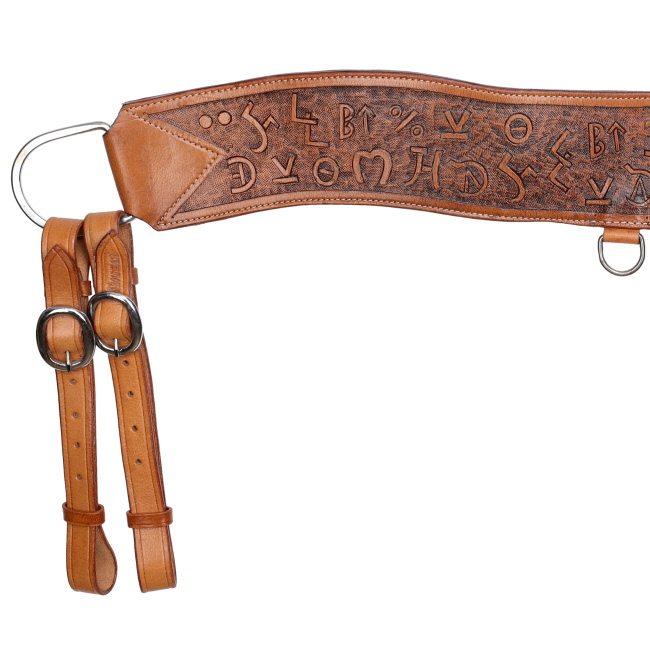 Showman Brandin’ Pen Tripping Collar #2