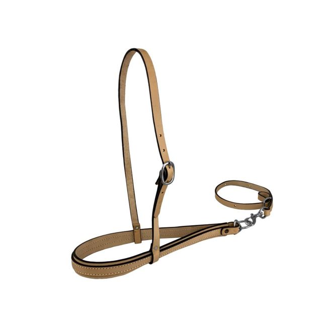 Showman Argentina Cow Leather Tiedown #4