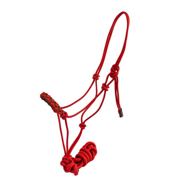 Assorted Braided Nose Cowboy Knot Halter with Lead #6