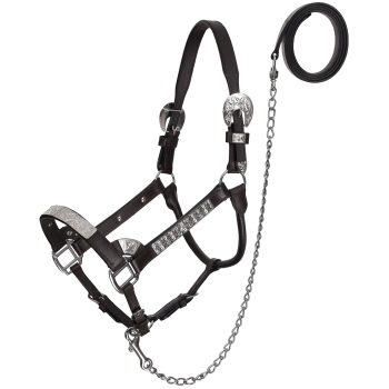 Silver Floral Leather Show Halter with Lead - Average
