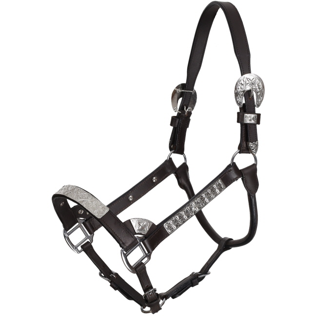 Silver Floral Leather Show Halter with Lead - Average #2