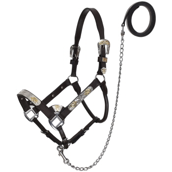 Silver & Gold Leather Show Halter with Lead - Average