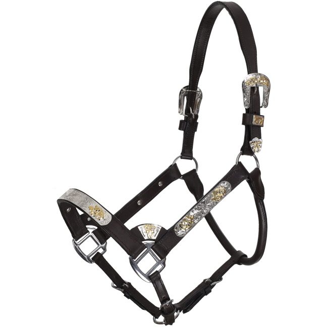 Silver & Gold Leather Show Halter with Lead - Average #2