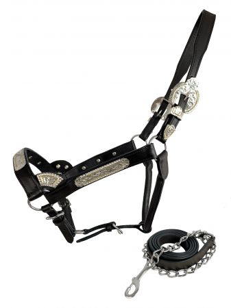 Dark Oil Average Horse size leather double stitched silver bar show halter