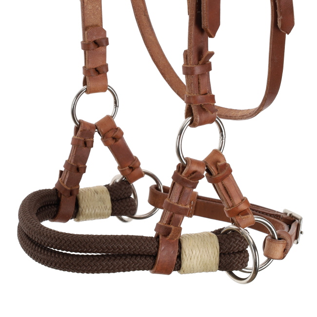 Showman Argentina Cow Leather Side Pull with Rope Nose #2