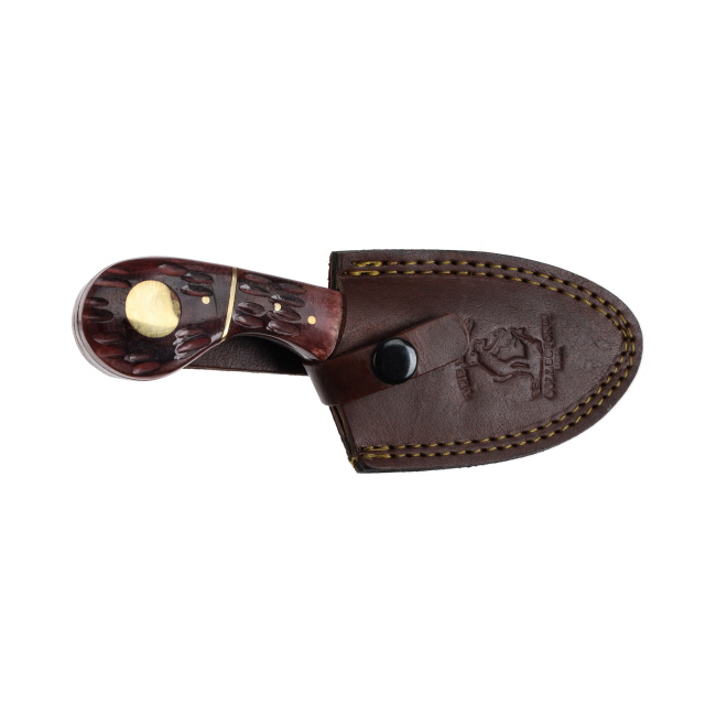 Bone Collector Bone Handle Skinning Knife with Gut Hook #3