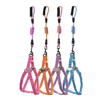 Zig-Zag Dog Harness and Leash Set - Medium