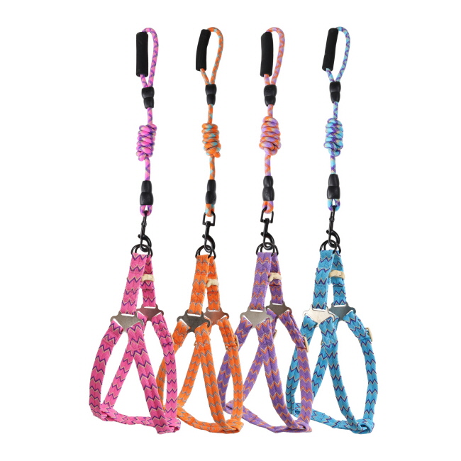 Zig-Zag Dog Harness and Leash Set - Medium