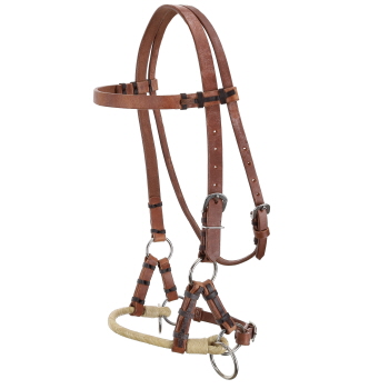 Showman Argentina Cow Leather Side Pull with Rawhide Nose