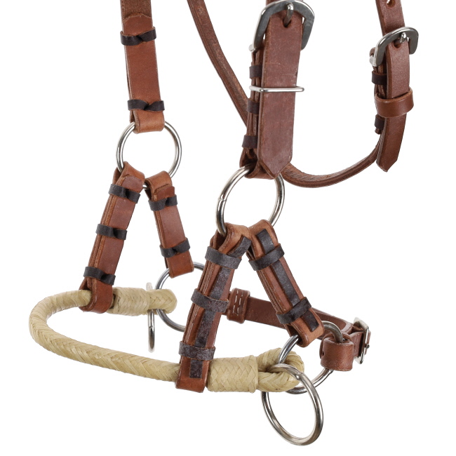 Showman Argentina Cow Leather Side Pull with Rawhide Nose #2