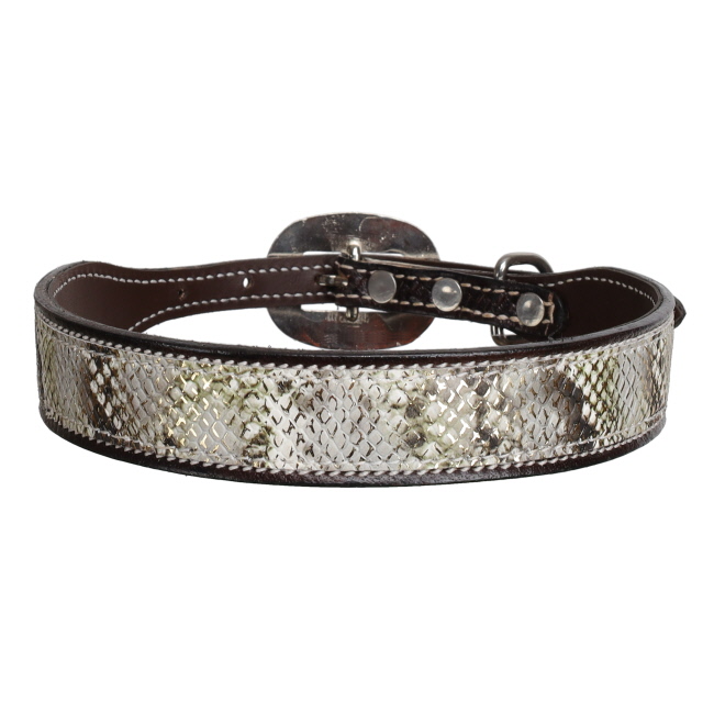 Showman Couture Luxe Viper Leather Dog Collar #2