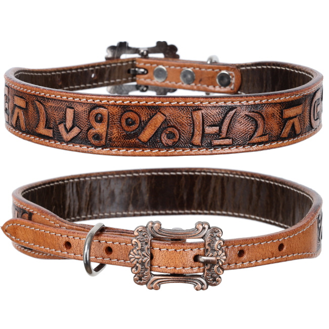 Showman Brandin' Pen Leather Dog Collar