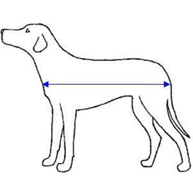 Showman Waterproof Dog Blanket - Medium (22" - 25") #9