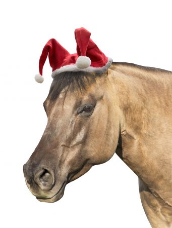 Horse Sized Santa Hat