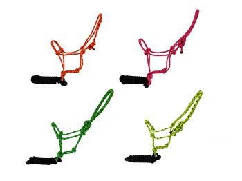 Showman Horse size fluorescent speckled cowboy knot halter with black removeable lead