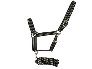 2ply Two Tone Nylon Horse Sized Halter with matching leadAverage horse 800-1100 lbs #4